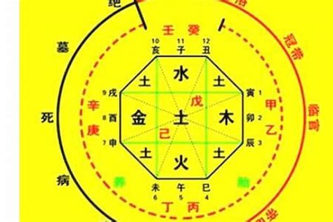 月德合神煞|八字中什么是月德合 月德合产生的作用解读